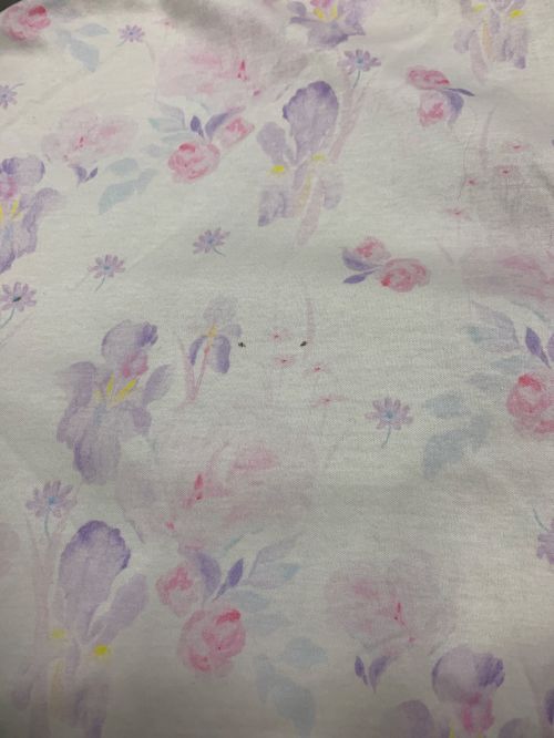 Mame Kurogouchi（マメクロゴウチ）mame kurogouchi (マメクロゴウチ) Floral Printed Cotton Dress ホワイト×ピンク サイズ:2の古着・服飾アイテム