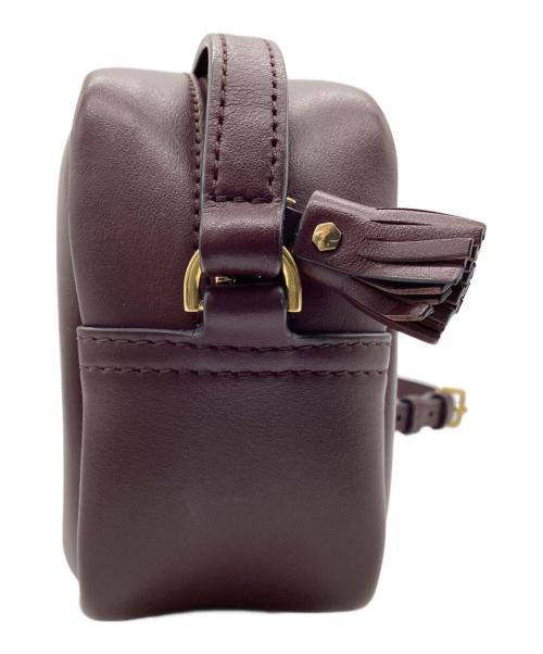 ANYA HINDMARCH（アニヤ・ハインドマーチ）ANYA HINDMARCH (アニヤハインドマーチ) Crossbody Mini Eyes Right in Circus ブラウンの古着・服飾アイテム