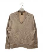 BATONERバトナ―）の古着「別注 RECYCLE NYLON VNECK/リサイクルナイロンVネックスウェット」｜ベージュ