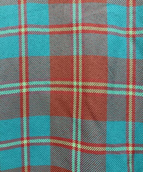 Ameri（アメリ）Ameri (アメリ) EVELYN CHECK FLARE SKIRT グリーン×ブラウン サイズ:Mの古着・服飾アイテム