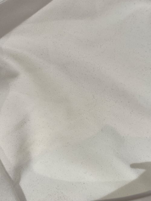 CHANEL（シャネル）CHANEL (シャネル) ココマークパールエンベリッシュメントシャツ ホワイト サイズ:40の古着・服飾アイテム