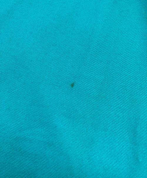 BOTTEGA VENETA（ボッテガベネタ）BOTTEGA VENETA (ボッテガベネタ) カシミヤストール ブルーの古着・服飾アイテム