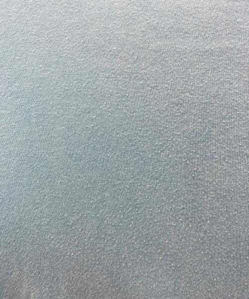 stussy（ステューシー）stussy (ステューシー) 長袖Tシャツ スカイブルー サイズ:Mの古着・服飾アイテム