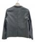 PLST (プラステ) プレミアムオックスカラーレスジャケット グレー サイズ:L：5000円
