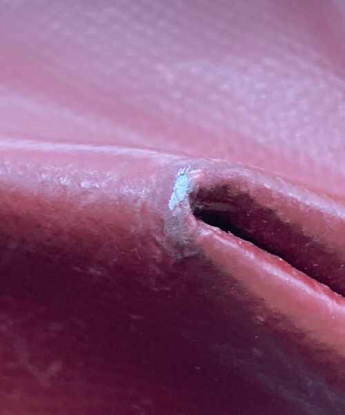 MARNI（マルニ）MARNI (マルニ) PVCショッピングバッグの古着・服飾アイテム