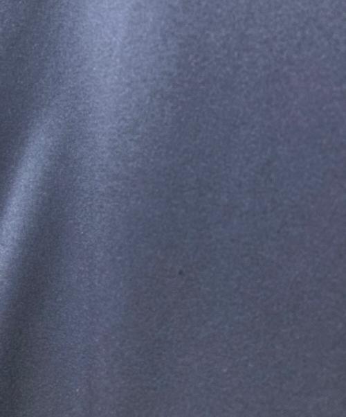 GALLARDA GALANTE（ガリャルダガランテ）GALLARDA GALANTE (ガリャルダガランテ) ハーフジョーゼットコンビブラウス ネイビー サイズ:FREEの古着・服飾アイテム