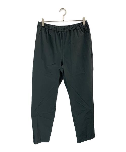 THE NORTH FACE（ザ ノース フェイス）THE NORTH FACE (ザ ノース フェイス) APEX RELAX PANT/エイペックスリラックスパンツ グレー サイズ:Lの古着・服飾アイテム