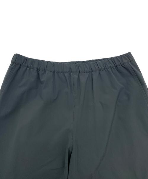 THE NORTH FACE（ザ ノース フェイス）THE NORTH FACE (ザ ノース フェイス) APEX RELAX PANT/エイペックスリラックスパンツ グレー サイズ:Lの古着・服飾アイテム