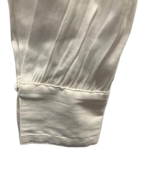 ANAYI（アナイ）ANAYI (アナイ) トリアセオーガンジーシアー ブラウス ホワイト サイズ:38の古着・服飾アイテム