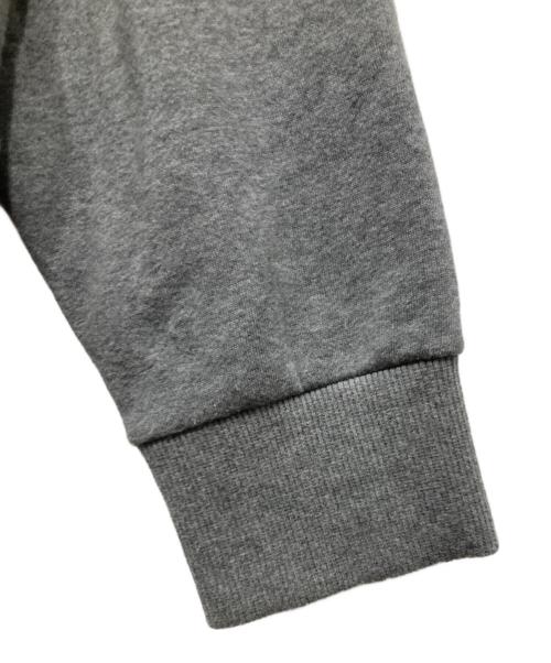 THE NORTH FACE（ザ ノース フェイス）THE NORTH FACE (ザ ノース フェイス) プルオーバーパーカー グレー サイズ:Lの古着・服飾アイテム
