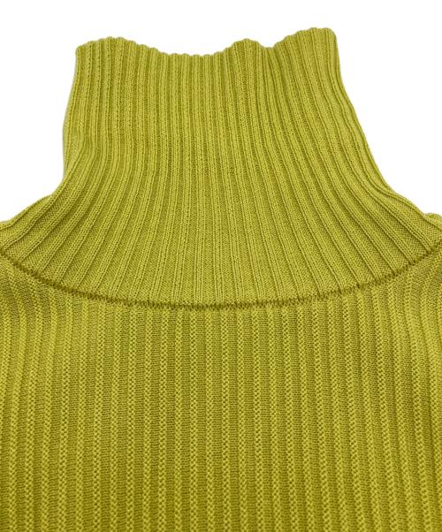 MURRAL（ミューラル）MURRAL (ミューラル) Sheer line sleeve rib knit イエロー サイズ:1の古着・服飾アイテム