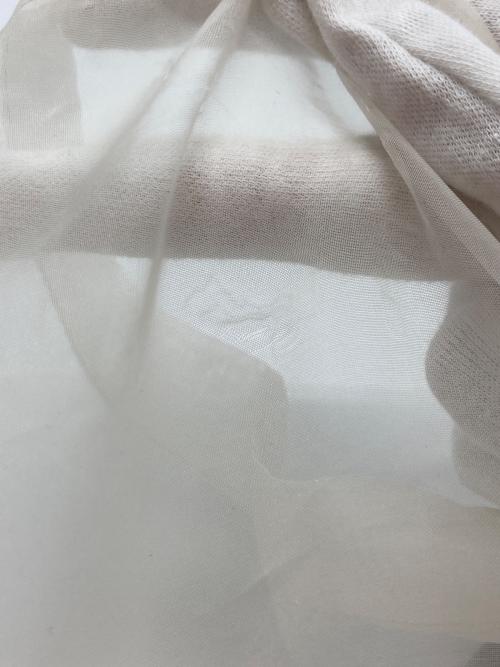 AEWEN MATOPH（イウエン マトフ）AEWEN MATOPH (イウエン マトフ) オーガンジークルーネック5分袖ブラウス アイボリー サイズ:FREEの古着・服飾アイテム