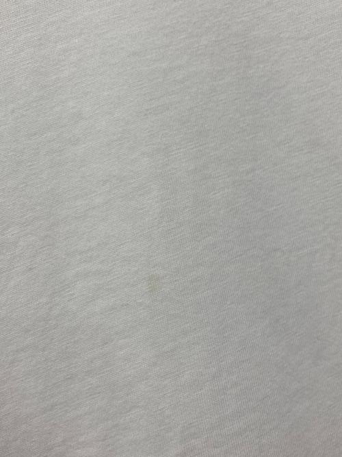 DIESEL（ディーゼル）DIESEL (ディーゼル) マイクロロゴTシャツ ホワイト サイズ:Lの古着・服飾アイテム
