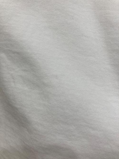 DIESEL（ディーゼル）DIESEL (ディーゼル) マイクロロゴTシャツ ホワイト サイズ:Lの古着・服飾アイテム