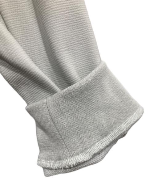 THE NORTH FACE（ザ ノース フェイス）THE NORTH FACE (ザ ノース フェイス) アンビションフーディ グレー サイズ:Lの古着・服飾アイテム