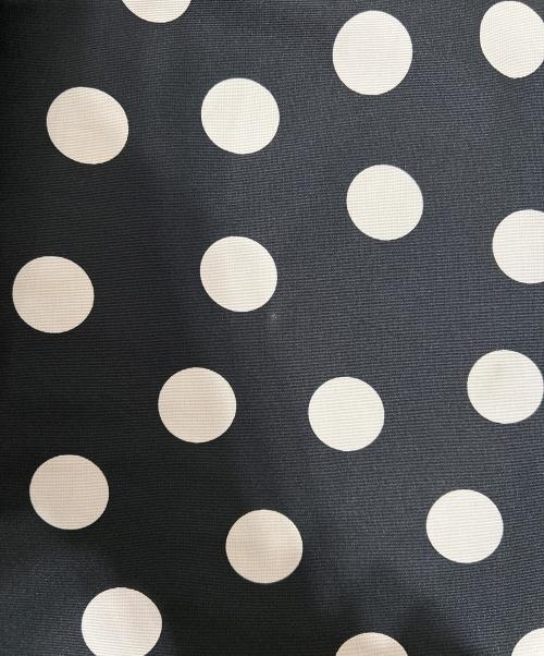 ANAYI（アナイ）ANAYI (アナイ) グログランドットハイウエスト スカート ブラック サイズ:34の古着・服飾アイテム