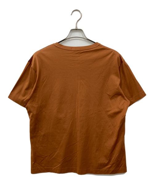 BLACK LABEL CRESTBRIDGE（ブラックレーベル クレストブリッジ）BLACK LABEL CRESTBRIDGE (ブラックレーベル クレストブリッジ) 切替Tシャツ ブラウン サイズ:LLの古着・服飾アイテム