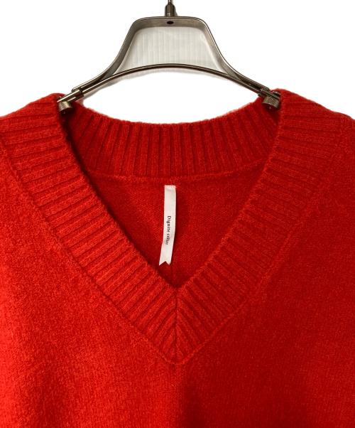 Dignite collier（ディニテ コリエ）Dignite collier (ディニテ コリエ) Vネックニット レッド サイズ:F 未使用品の古着・服飾アイテム