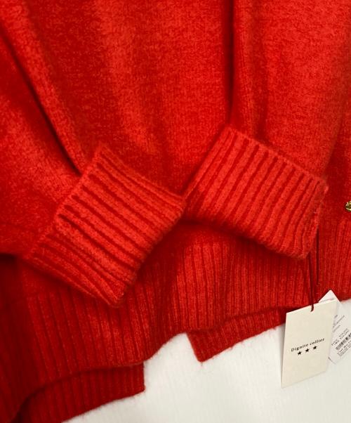 Dignite collier（ディニテ コリエ）Dignite collier (ディニテ コリエ) Vネックニット レッド サイズ:F 未使用品の古着・服飾アイテム