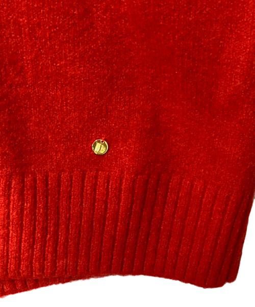 Dignite collier（ディニテ コリエ）Dignite collier (ディニテ コリエ) Vネックニット レッド サイズ:F 未使用品の古着・服飾アイテム