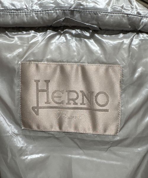 HERNO（ヘルノ）HERNO (ヘルノ) ダウンジャケット ブラウン サイズ:40の古着・服飾アイテム