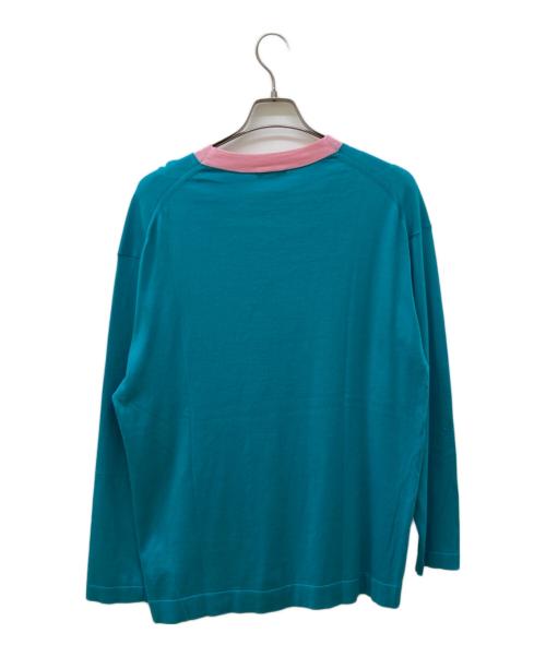 RYETENDER（ライテンダー）RYETENDER (ライテンダー) SULLIVAN LONG-TEE スカイブルー サイズ:2の古着・服飾アイテム