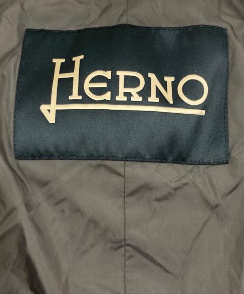 HERNO（ヘルノ）HERNO (ヘルノ) ウォーターレペレントナイロン 4ポケット ダウンフーディーコート グレー サイズ:48の古着・服飾アイテム