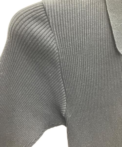 AURALEE（オーラリー）AURALEE (オーラリー) GIZA HIGH GAUGE RIB KNIT POLO ブラック サイズ:SIZE0の古着・服飾アイテム