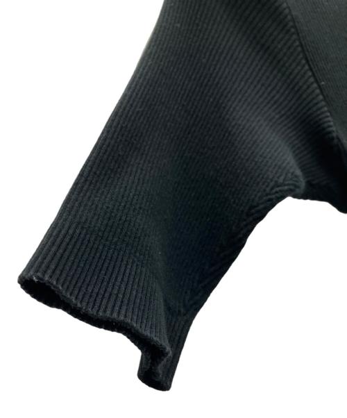 AURALEE（オーラリー）AURALEE (オーラリー) GIZA HIGH GAUGE RIB KNIT POLO ブラック サイズ:SIZE0の古着・服飾アイテム