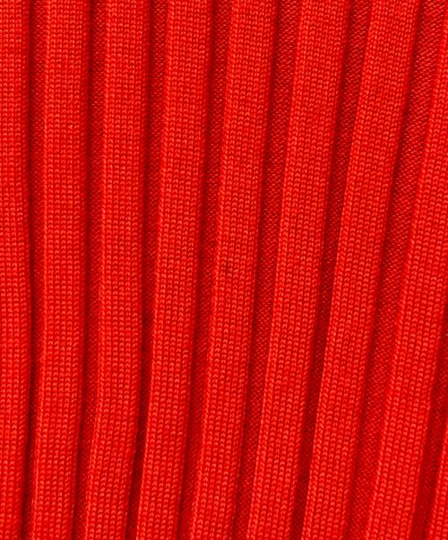 HYKE（ハイク）HYKE (ハイク) WIDE RIBBED CROPPED VEST レッド サイズ:‐の古着・服飾アイテム