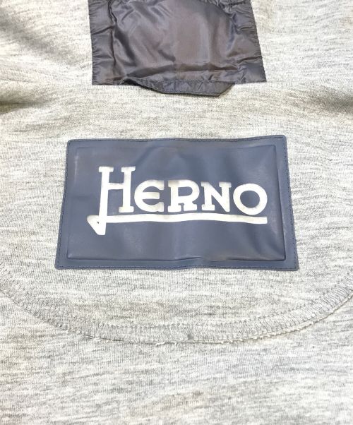 HERNO（ヘルノ）HERNO (ヘルノ) ウォーターレペレントナイロンダウン×スウェットハイブリッドジップフーディー　PI0612U120209010 グレー サイズ:44の古着・服飾アイテム