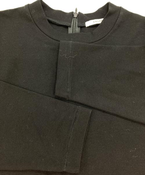 CELERI（セルリ）CELERI (セルリ) ダイヤスリーブプルオーバー ブラック サイズ:不明の古着・服飾アイテム