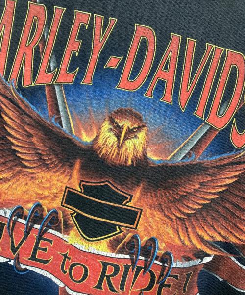 HARLEY-DAVIDSON（ハーレーダビッドソン）HARLEY-DAVIDSON (ハーレーダビッドソン) Tシャツ ブラック サイズ:2XLの古着・服飾アイテム