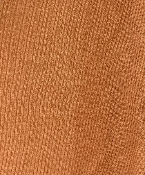 hakuji（ハクジ）hakuji (ハクジ) Sheer rib ロングスリーブ プルオーバー ブラウン サイズ:FREEの古着・服飾アイテム