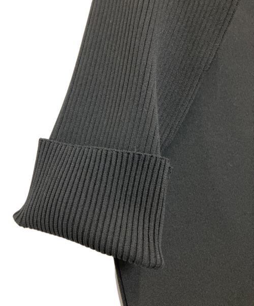 LE PHIL（ル フィル）LE PHIL (ル フィル) ライトドライニット ブラック サイズ:Freeの古着・服飾アイテム