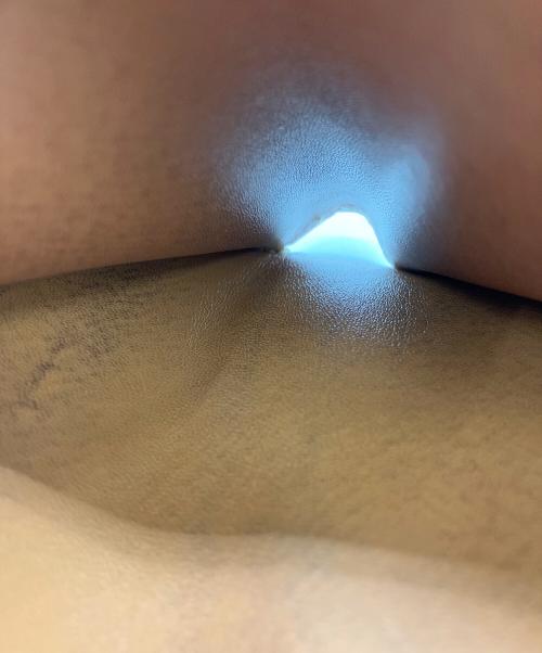 HERMES（エルメス）HERMES (エルメス) ベアンコンパクトの古着・服飾アイテム