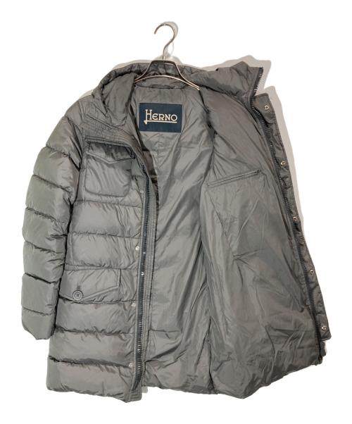 HERNO（ヘルノ）HERNO (ヘルノ) ダウンコート グレー サイズ:42の古着・服飾アイテム