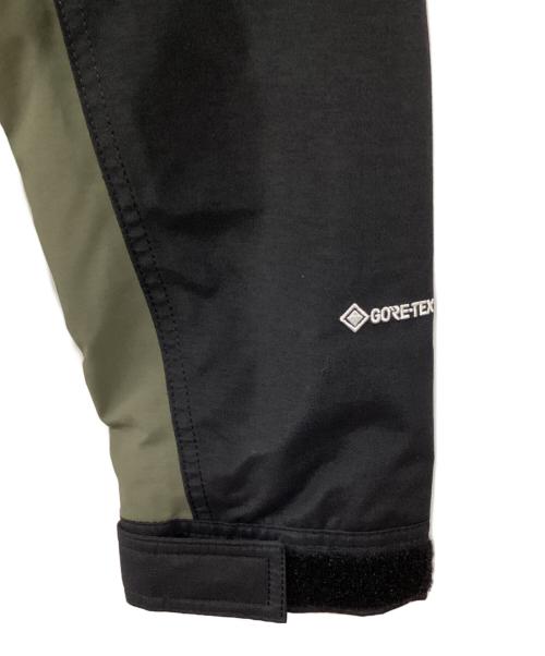 THE NORTH FACE（ザ ノース フェイス）THE NORTH FACE (ザ ノース フェイス) Mountain Light Jacket / マウンテンライトジャケット グリーン サイズ:M 未使用品の古着・服飾アイテム