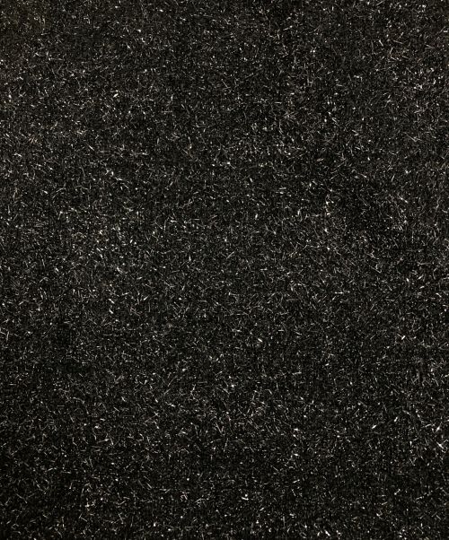 ADAWAS（アダワス）ADAWAS (アダワス) SHINY MOLE SKIRT ブラック サイズ:FREEの古着・服飾アイテム