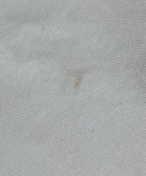 BABYLONE（バビロン）BABYLONE (バビロン) コットンナイロンダックパンツ ベージュ サイズ:Fの古着・服飾アイテム