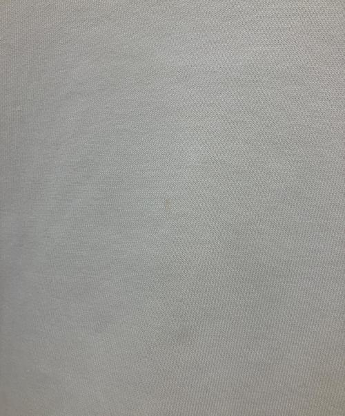 NIKE SB（ナイキエスビー）NIKE SB (ナイキエスビー) プルオーバーパーカー グラフィック ベージュ サイズ:2XL 未使用品の古着・服飾アイテム