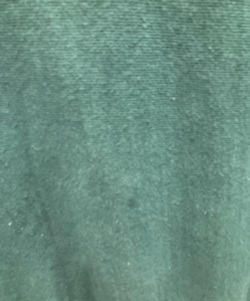 Americana（アメリカーナ）Americana (アメリカーナ) LOGO スウェット グリーン サイズ:Lの古着・服飾アイテム