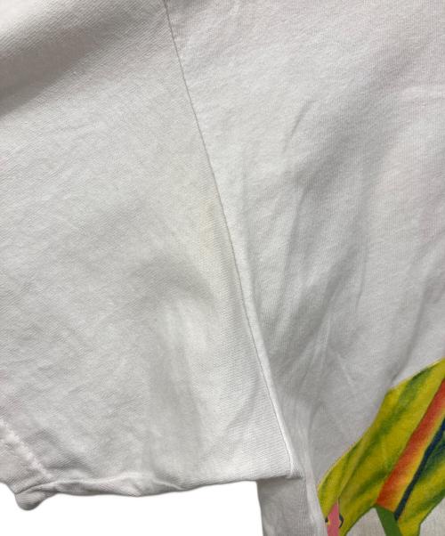 stussy（ステューシー）stussy (ステューシー) プリントTシャツ ホワイト サイズ:XLの古着・服飾アイテム