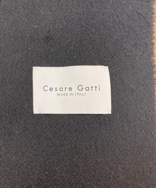 Cesare Gatti（チェザーレ ガッティ）Cesare Gatti (チェザーレ ガッティ) ストール ブラウンの古着・服飾アイテム