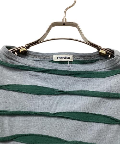 plantation（プランテーション）plantation (プランテーション) テープリップルTシャツ グリーン サイズ:M 未使用品の古着・服飾アイテム