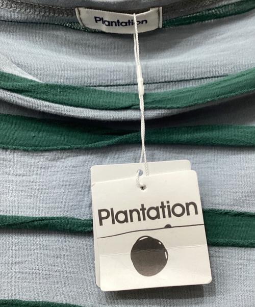 plantation（プランテーション）plantation (プランテーション) テープリップルTシャツ グリーン サイズ:M 未使用品の古着・服飾アイテム