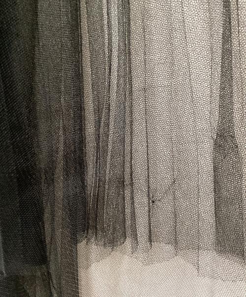 Fabiana Filippi（ファビアナフィリッピ）Fabiana Filippi (ファビアナフィリッピ) チュールスカート ブラック サイズ:38の古着・服飾アイテム