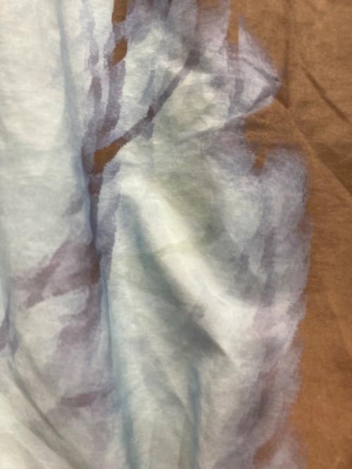 sound sports（サウンドスポーツ）sound sports (サウンドスポーツ) FAF (エフエーエフ) ナイロンパンツ スカイブルー サイズ:2の古着・服飾アイテム