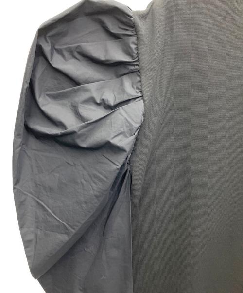 HeRIN.CYE（ヘリンドットサイ）HeRIN.CYE (ヘリンドットサイ) Deluxe dress ブラック サイズ:SIZE FREEの古着・服飾アイテム