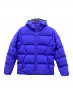 Patagoniaパタゴニア）の古着「ジャクソングレイシャーダウンジャケット」｜ブルー